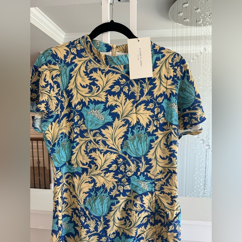 Elizabeth James The Label blue yellow maxi dress - Picture 5 of 8